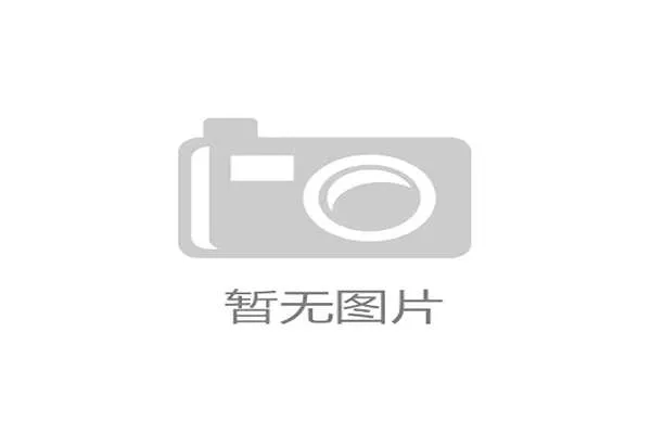 1930年世界杯南斯拉夫队的经典征程